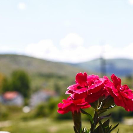 Apartmani S.Kilaci ブラガイ エクステリア 写真